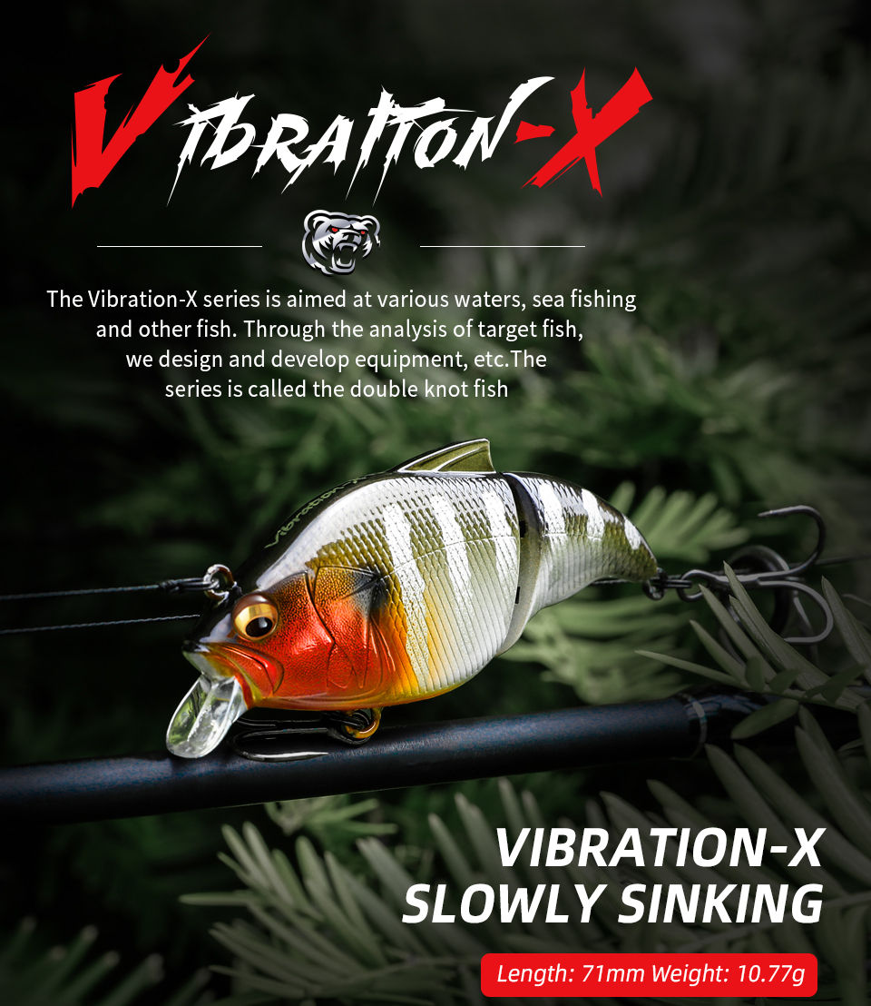 多节米诺VIB-X    A02(图1)