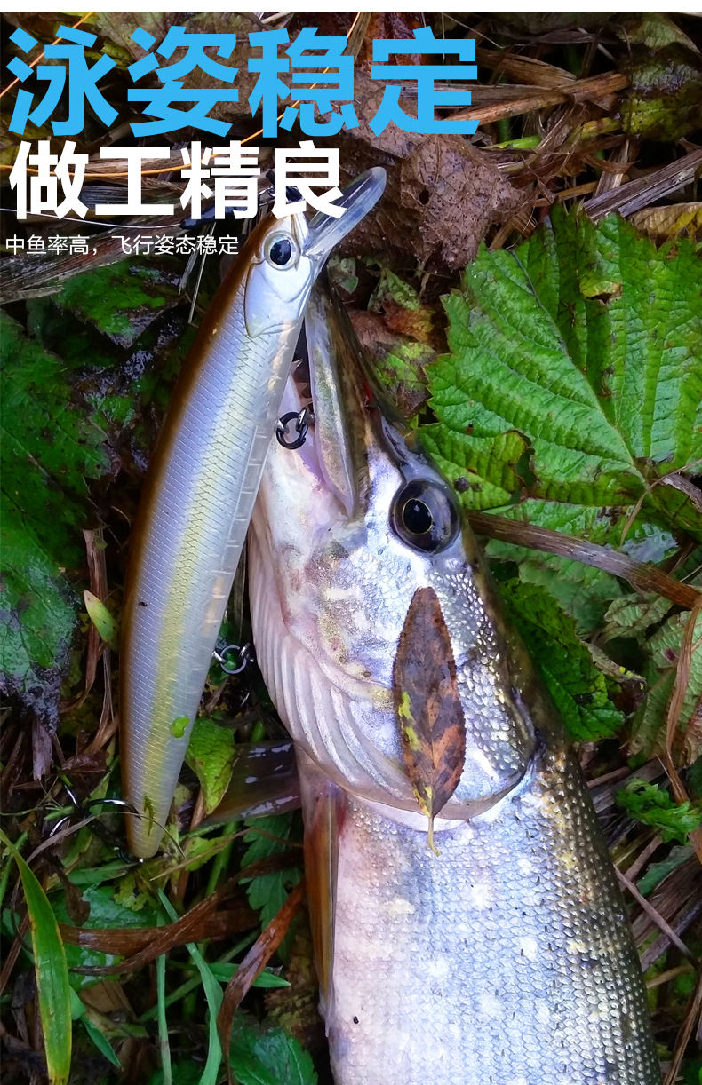 米诺 ShenPan(图15)